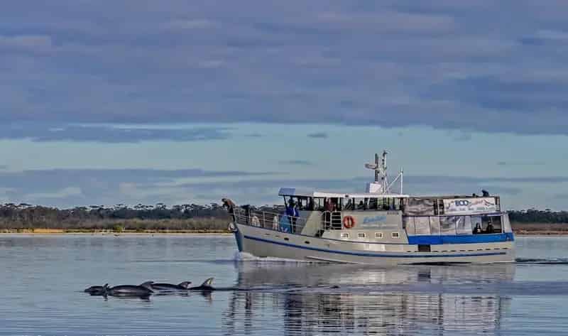 A True Sea Change, Boat Cruise business for sale.