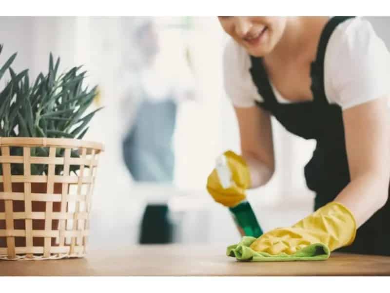 34328 Lucrative & Unique Cleaning Business - Oversnow Access Advantage