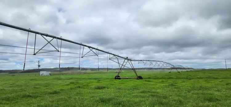 Buy Rural Property Dairy Opportunity in Tasmania with Impressive Infrastructure