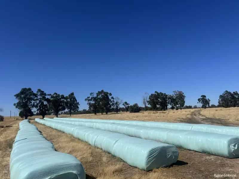 Rural property For Sale , Shire Of Narrogin, Western Australia