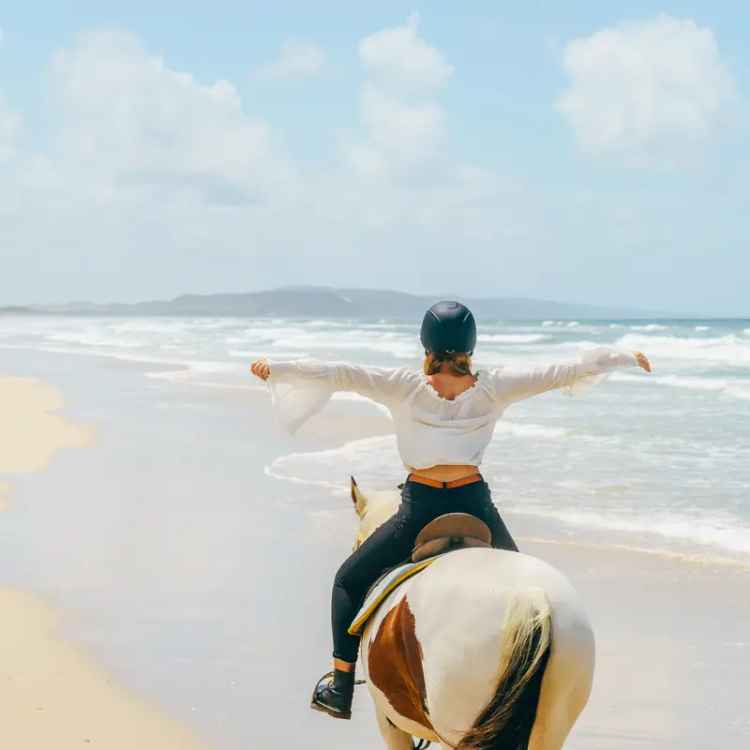 Buy Iconic Tourism Business in Noosa with Horse Riding School and Beach Rides