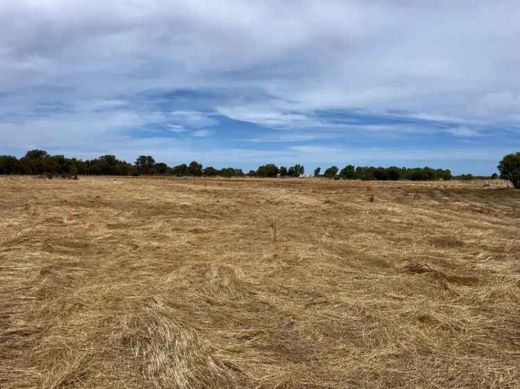 Land for Sale in Muchea with Room to Move and Fenced Pasture