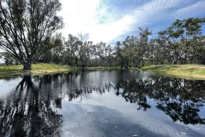 Rural property For Sale , Culcairn, New South Wales