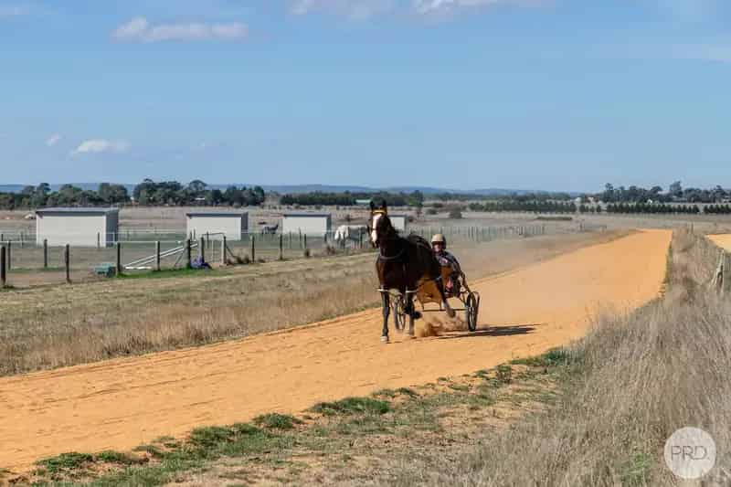 Premier Racing and Equestrian Complex Near Ballarat