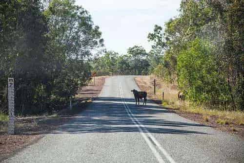 Rural property For Sale , Batchelor, Northern Territory