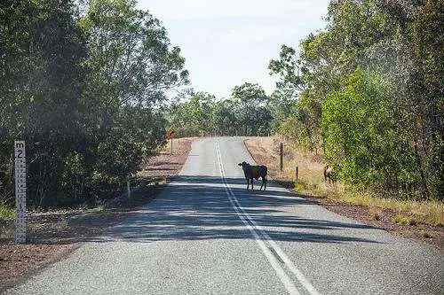 Rural For Sale in Batchelor, Northern Territory