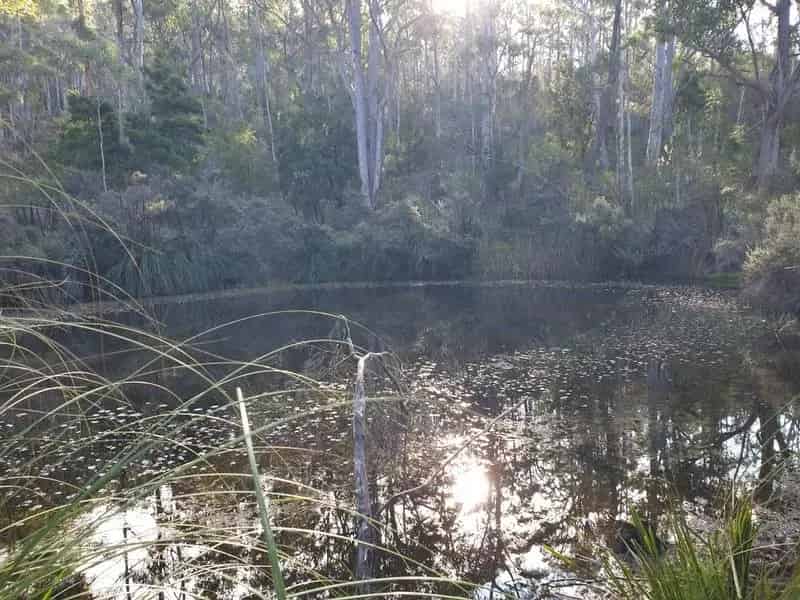 Buy Lifestyle Lot in Serene Surrounds Near Garden Island Sands Beach