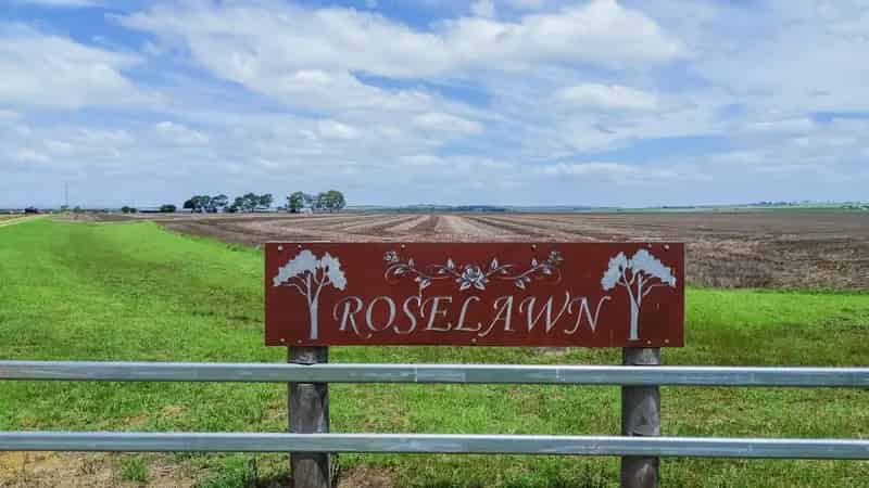 "ROSELAWN" - Nothing to Spend
