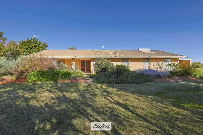 Buy rural property in Irymple with family home and large gardens