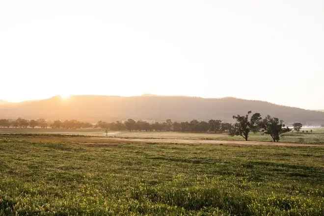 Land For Sale in Mid-Western Regional Council, New South Wales