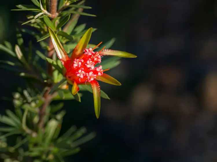 "THE ESCARPMENT" 1,214 Hectare Wilderness Development Opportunity