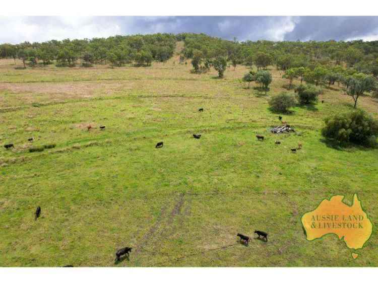 Buy Rural Property 100 Acres Grazing Land East of Goomeri