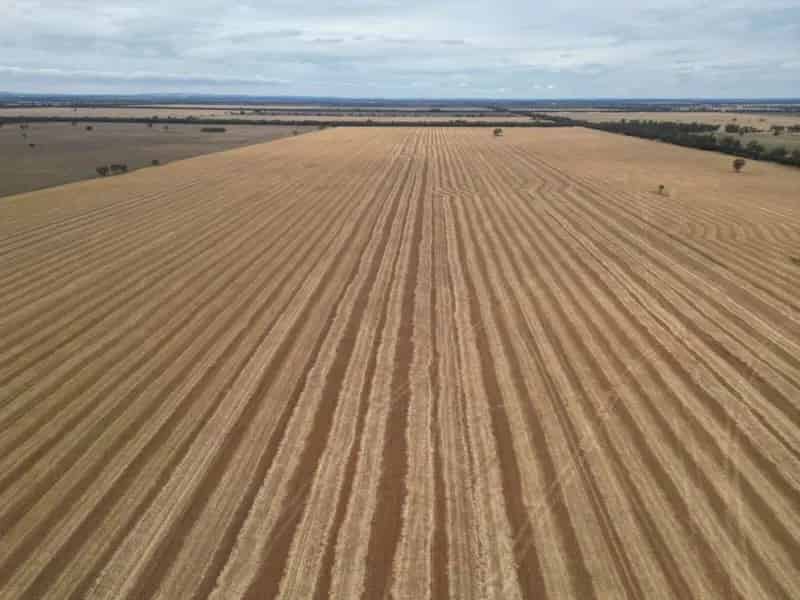 Buy mixed farming property near Naradhan with premium features