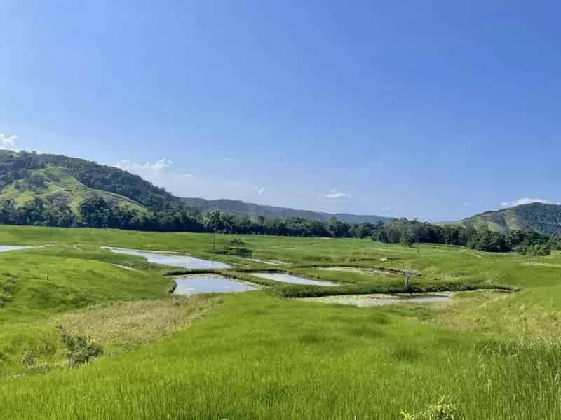 Rural property For Sale , Douglas Shire, Queensland