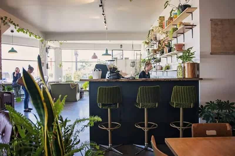 Buy Health Food Commercial Property Alkaline Cafe in Albany