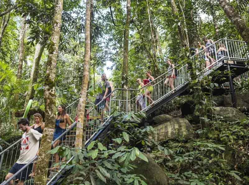 Buy Integrated Tourism Opportunity Eco Lodge and Tours Cairns