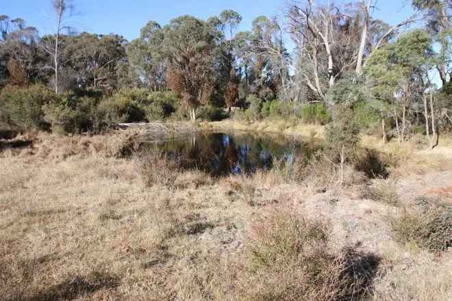 Land For Sale in Tenterfield, New South Wales