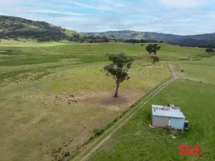 Buy Rural Grazing Property in Gowan with Scenic Lifestyle Features