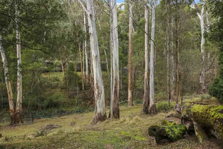 Large Block Backing Onto Natural Easement