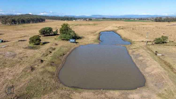 Buy rural property in Beaudesert with extensive water infrastructure and grazing land