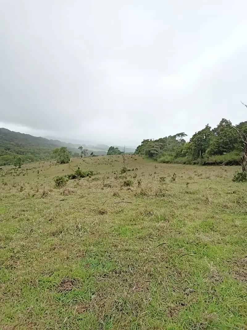 buy rural property in Evelyn with stunning views and cattle