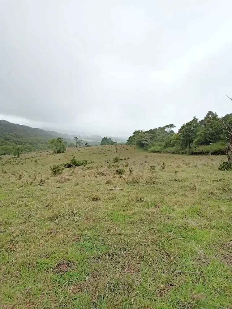 buy rural property in Evelyn with stunning views and cattle