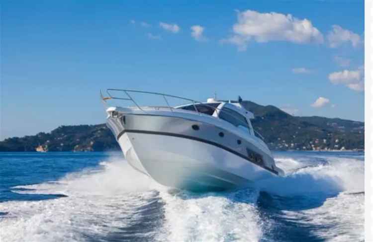 Premier Marine Business in the Whitsundays