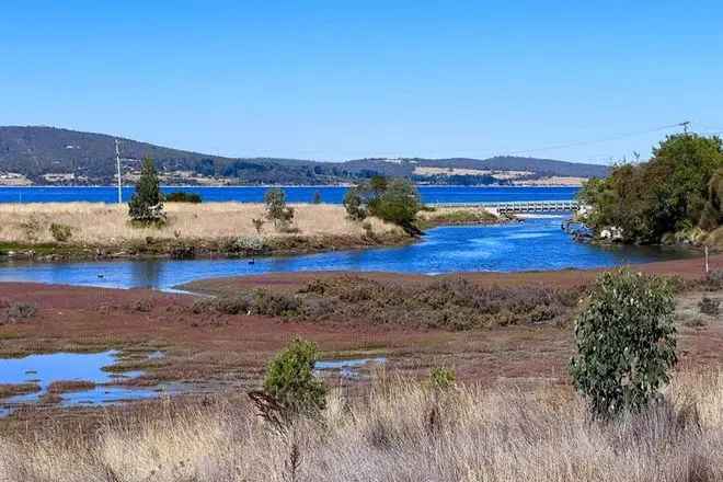 818 Sqm Lot with NBN Tasmanian Native Plants Landscaping