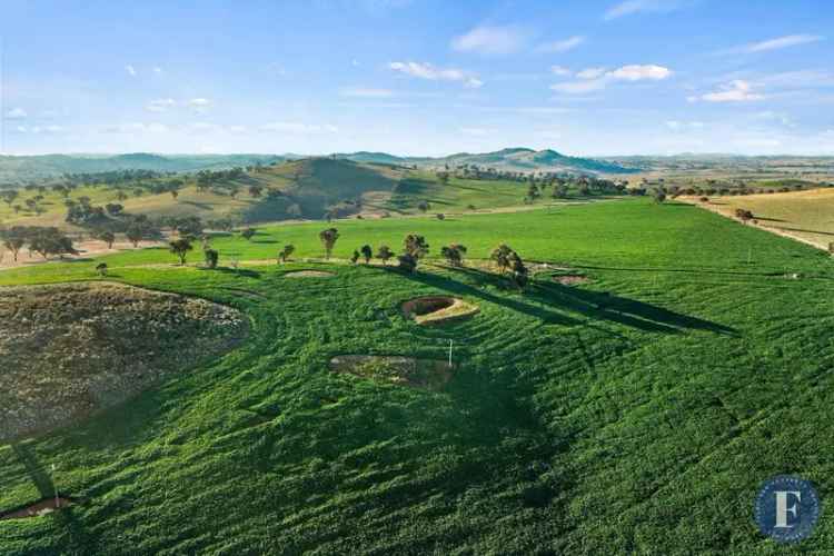 Rural For Sale in Boorowa, New South Wales