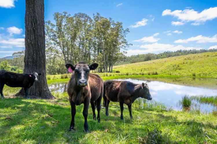 Rural For Sale in Mid-Coast Council, New South Wales