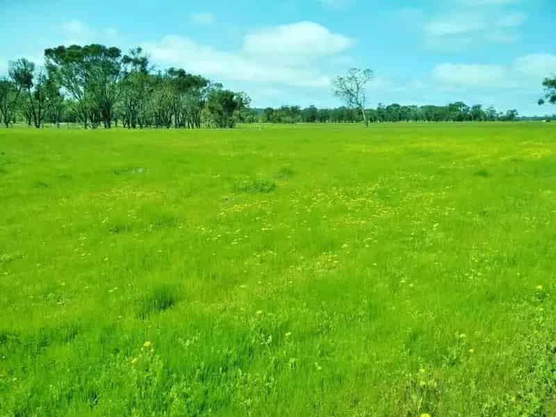 Rural property For Sale , Shire Of Wandering, Western Australia