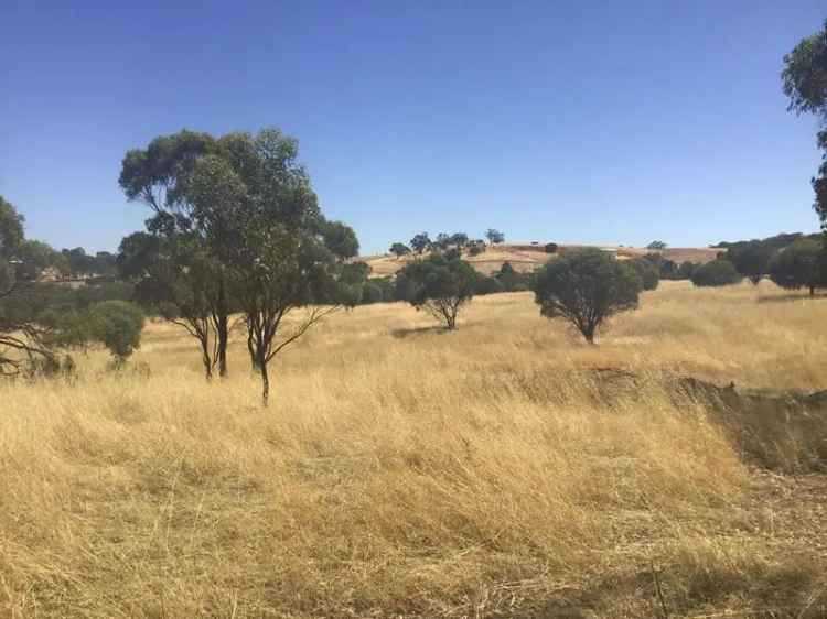 5 Acre Farmlet near Toodyay Town Centre