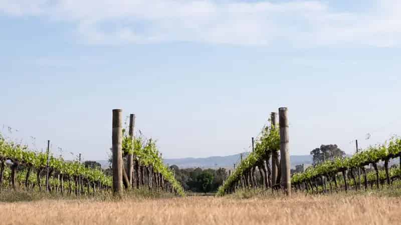 Land For Rent , Yass Valley Council, New South Wales