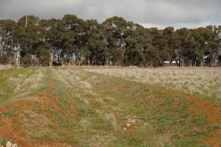 Buy Land 77 Acres With Planning Permit Near Tatura