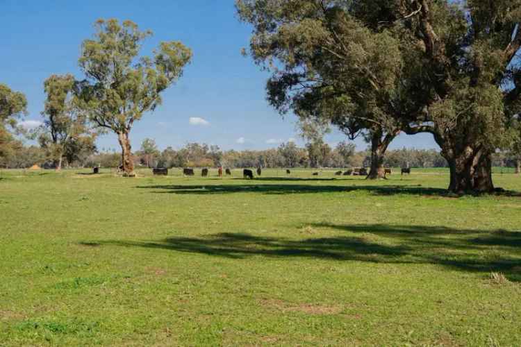 Rural For Sale in Forbes, New South Wales