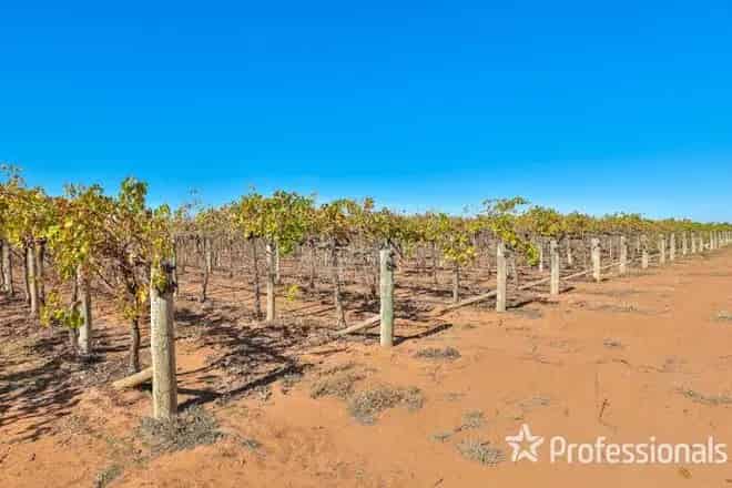 Rural property For Sale , 194, Fifth Street, Merbein, Victoria