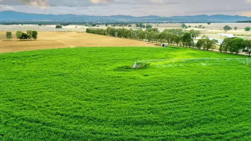 Rural property For Sale , Tamworth, New South Wales