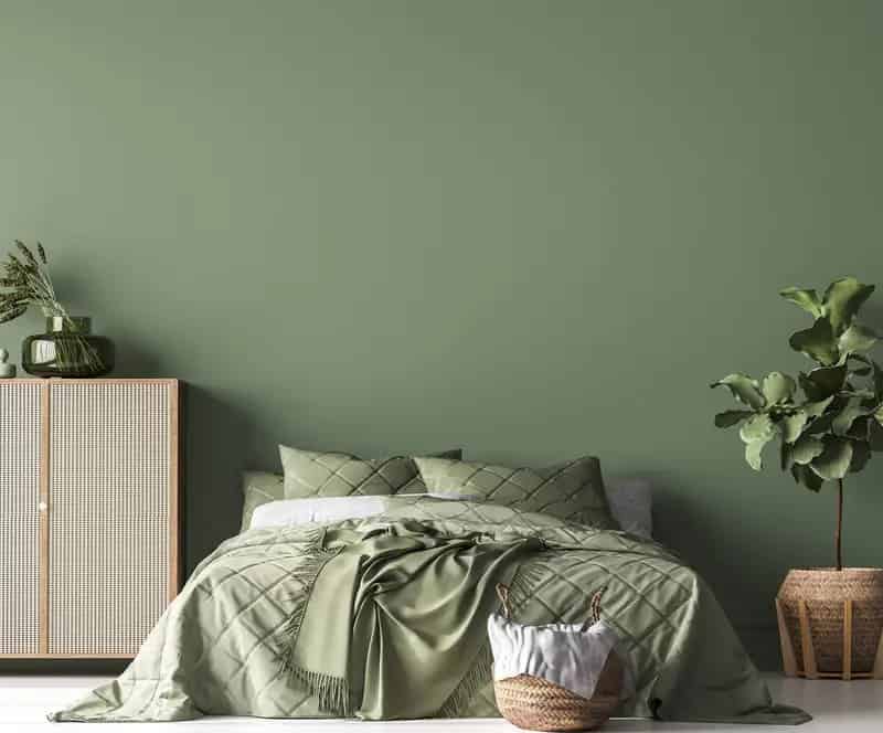 Business for Sale Importer Wholesaler Bedroom Decor