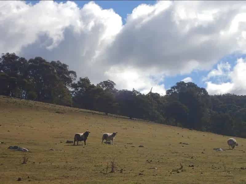 360 ACRES
