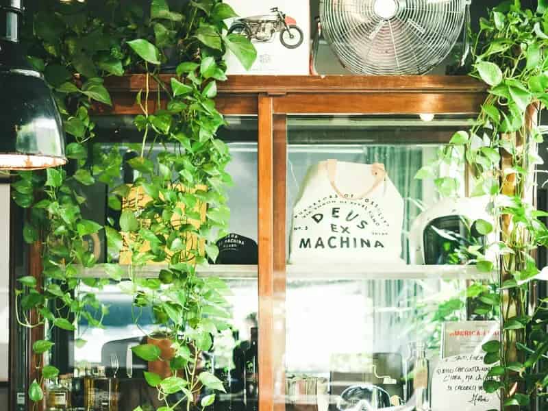 Cafe For Sale with Huge Potential for Continued Growth