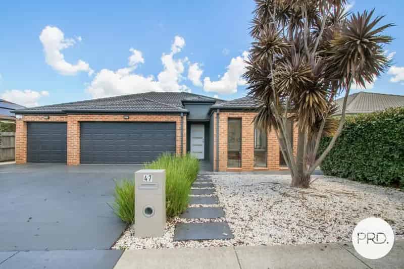 Freshly Updated Family Home with Rumpus Room & Triple Garage
