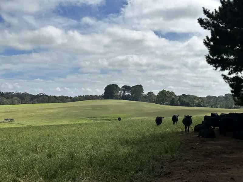 Rural property For Sale , Wingecarribee Shire Council, New South Wales