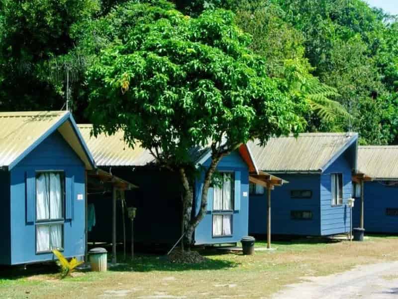 FREEHOLD TROPICAL RAINFOREST - COASTAL PARK RETURNING 15% - ID 1039CPF