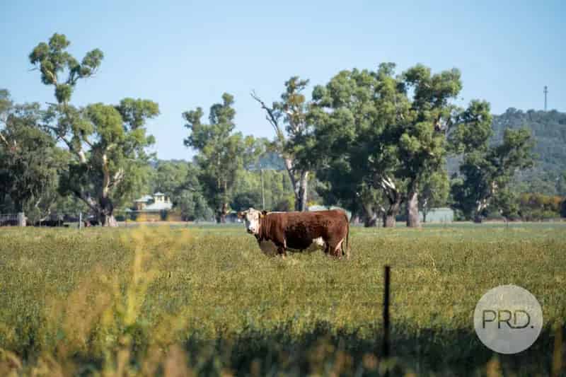 Rural property For Sale , Wagga Wagga City Council, New South Wales