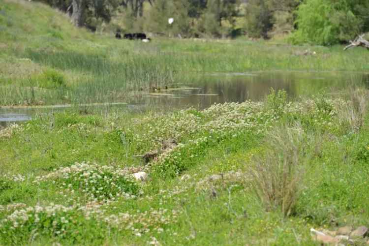 Rural For Sale in Narrabri, New South Wales