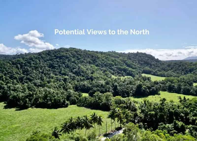 Build Your Dream Home on 2.94 Hectares of Land Surrounded by Rainforest