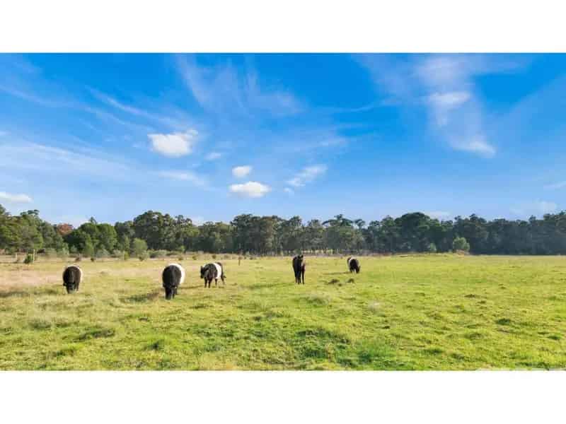 Rural property For Sale , 665, NIcholson - Sarsfield Road, Shire of East Gippsland, Victoria