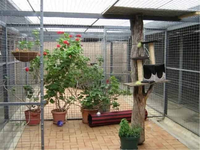 Abalee Cattery and Kennels - Freehold Option
