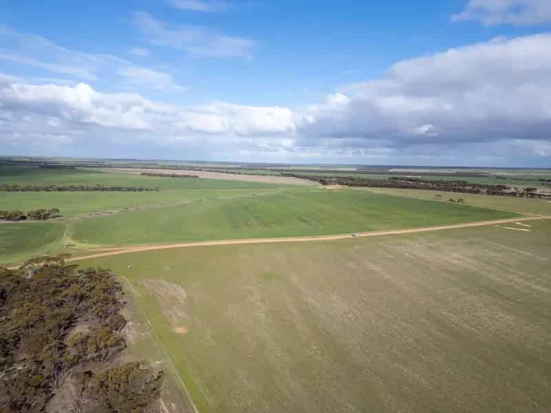 409 Dixon Road | PINGRUP