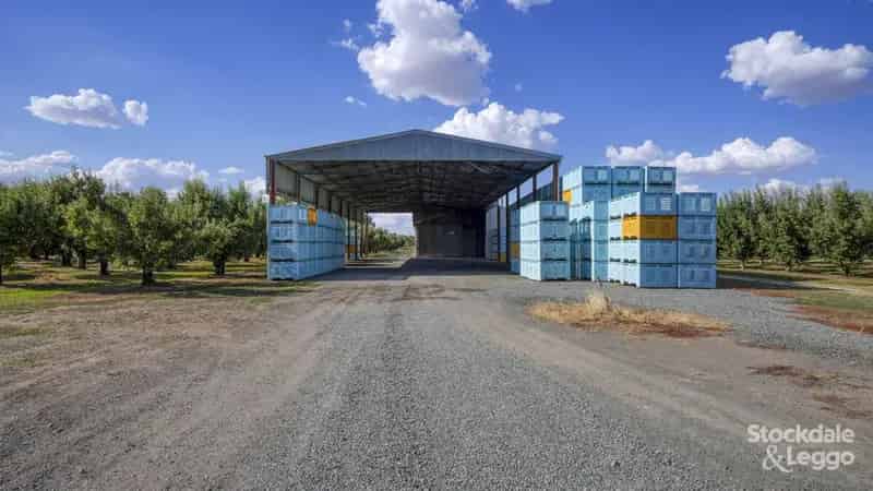 Buy Rural Property Orchard in Merrigum with Premium Features